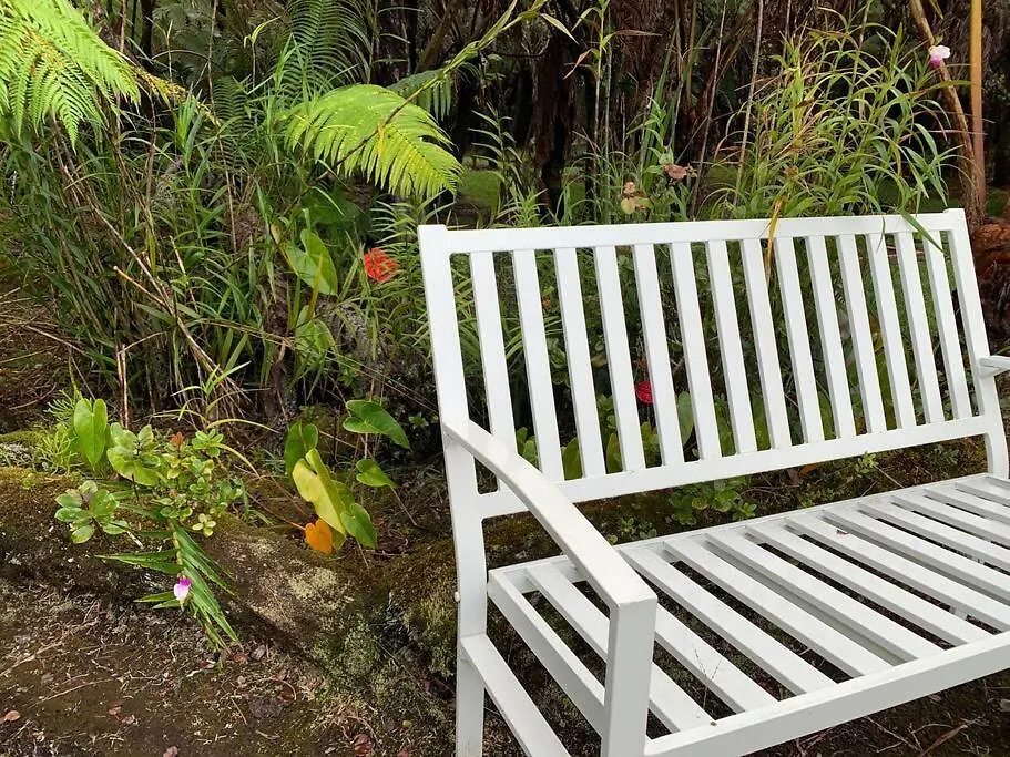 Holiday home Hau'Oli Place Tiki Cottage In Volcano United States